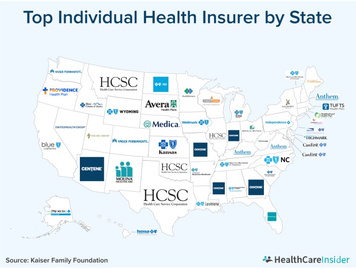 Top Individual Health Insurance Companies, Mapped - HealthCareInsider.com
