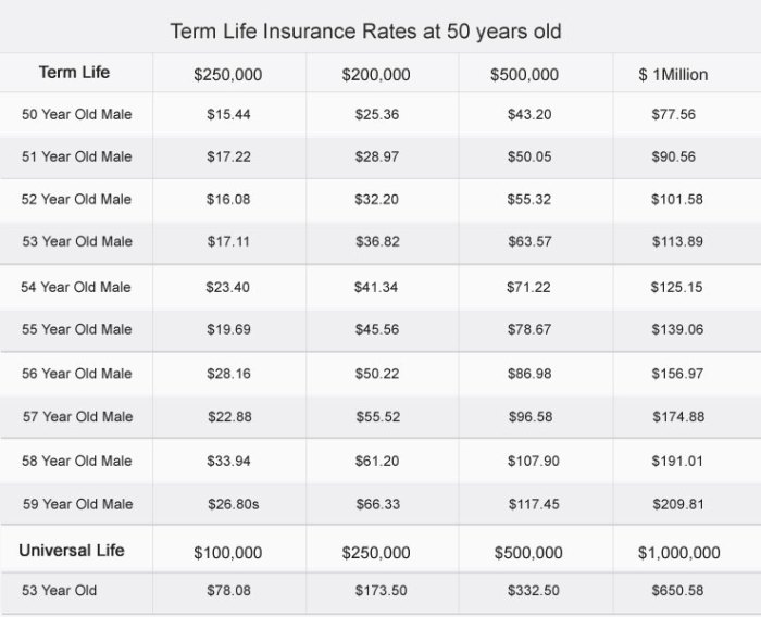 Term Life Insurance Costs